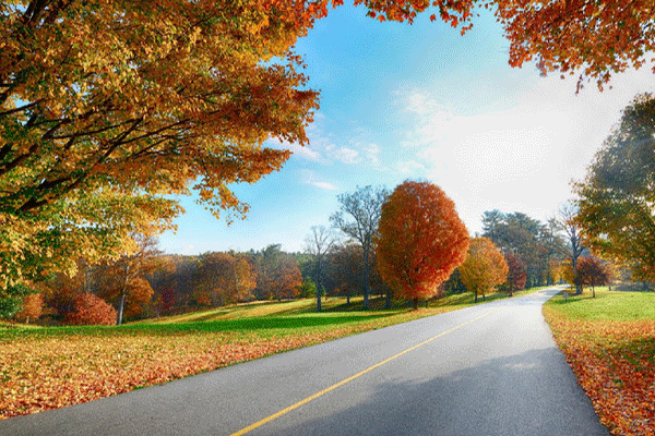Factors Should be Considerable before the Cold Weather Coming